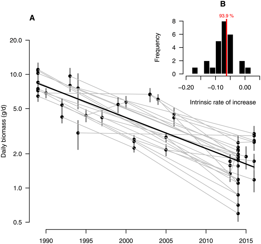 Global Decline of Insects